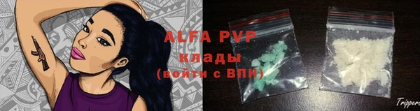 сатива Алзамай