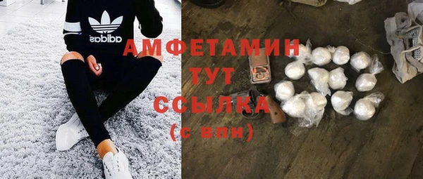 сатива Алзамай