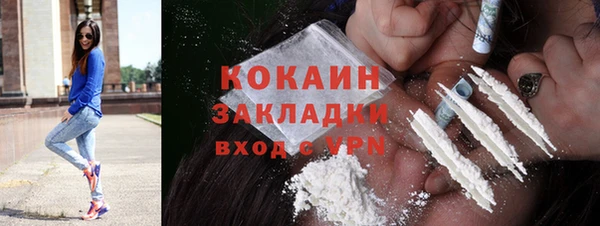 сатива Алзамай